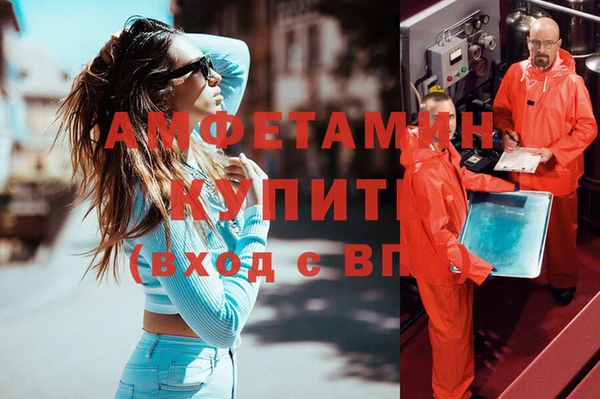 шишки Наволоки