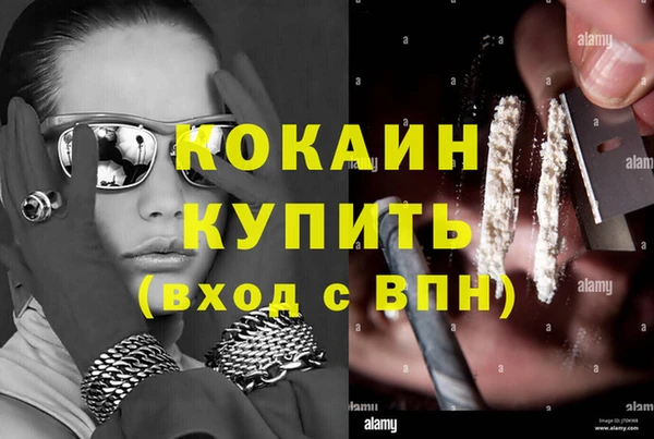 спиды Новозыбков