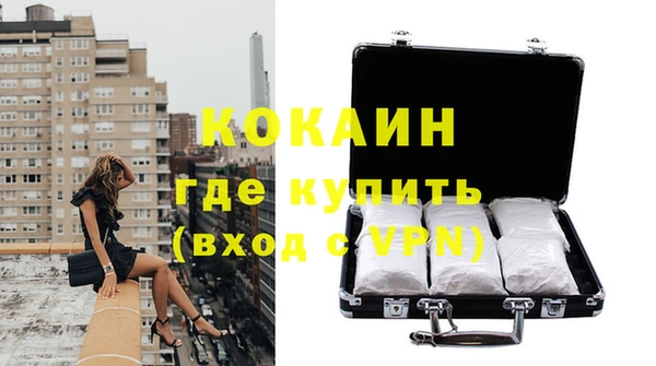 шишки Наволоки