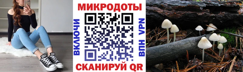 Псилоцибиновые грибы мицелий  Купить  Крым